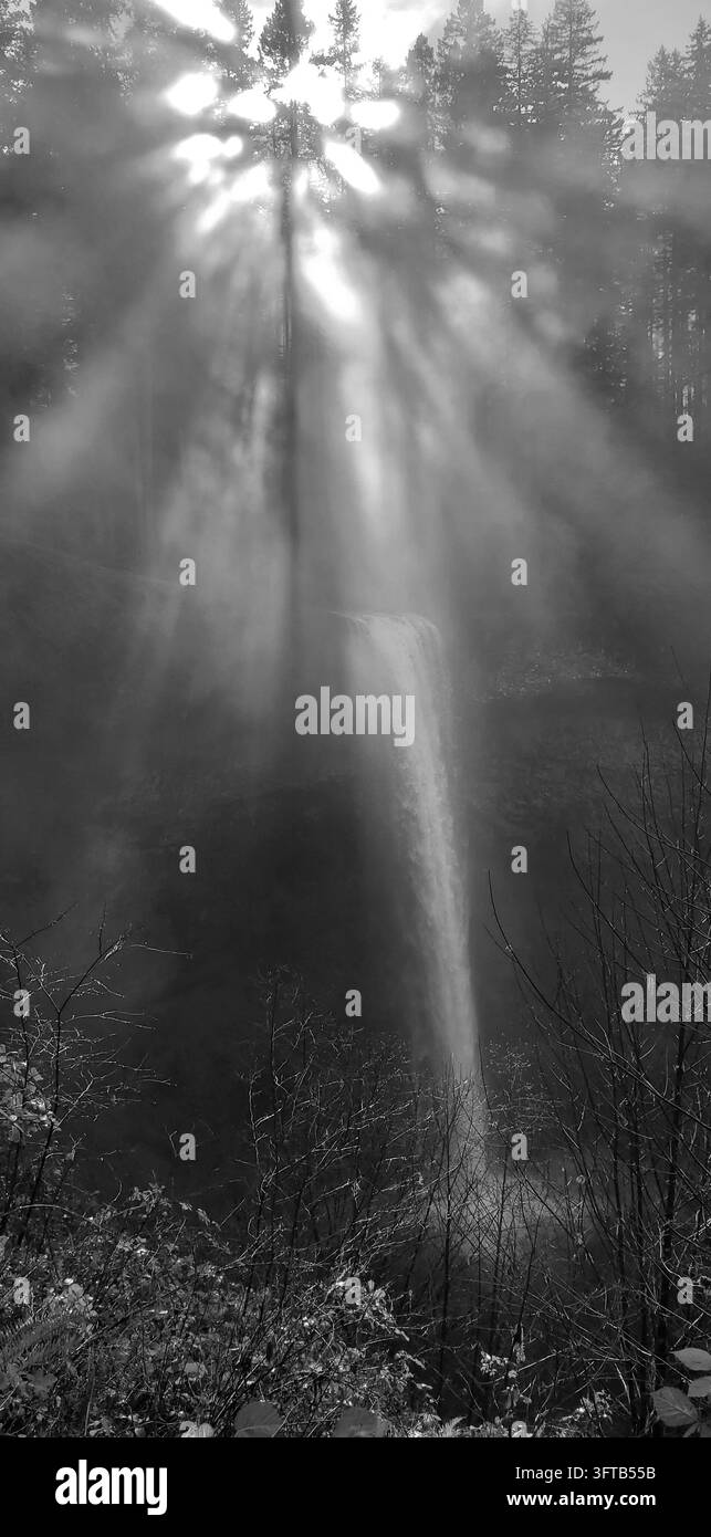 Scène monochrome de cascade avec éclat de soleil radieux et rayons de lumière à travers la brume de la forêt Banque D'Images