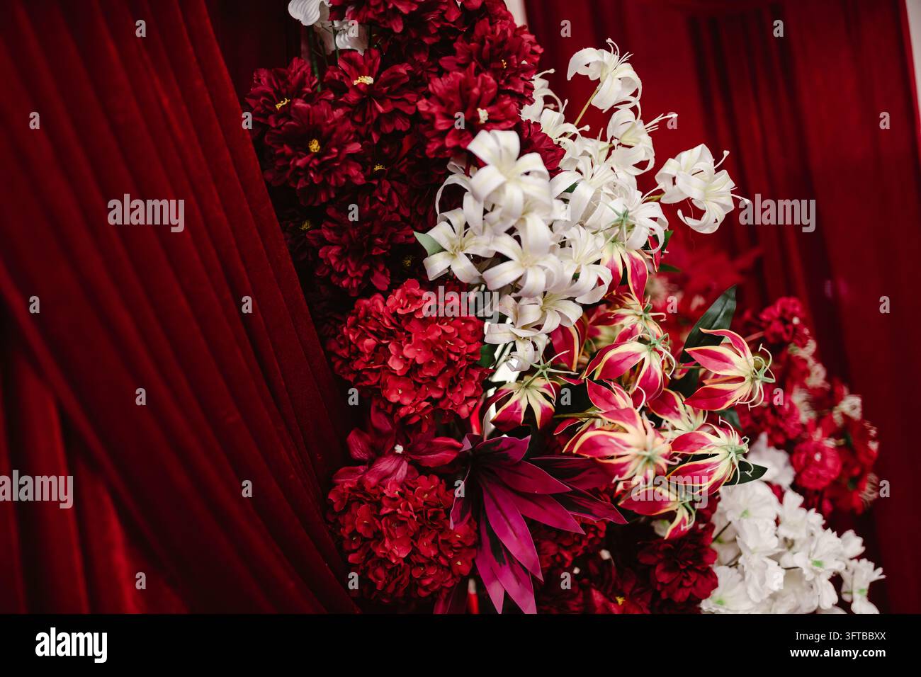 Rideaux en velours rouge drapés avec des fleurs rouges et blanches comme décoration de fond Banque D'Images