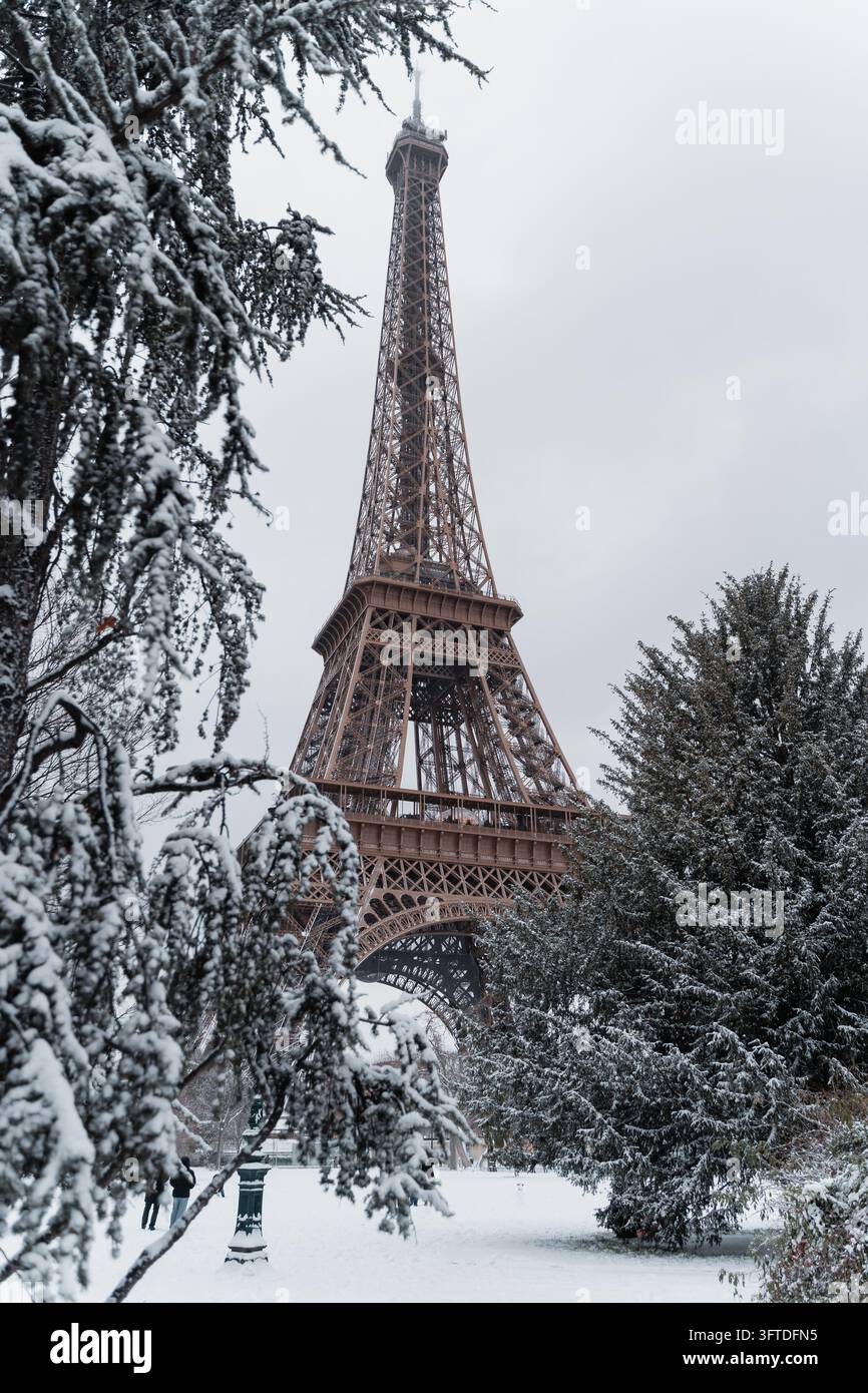 La tour Eiffel vue à travers les arbres enneigés du jardin du Champ de Mars, Paris, France. Banque D'Images