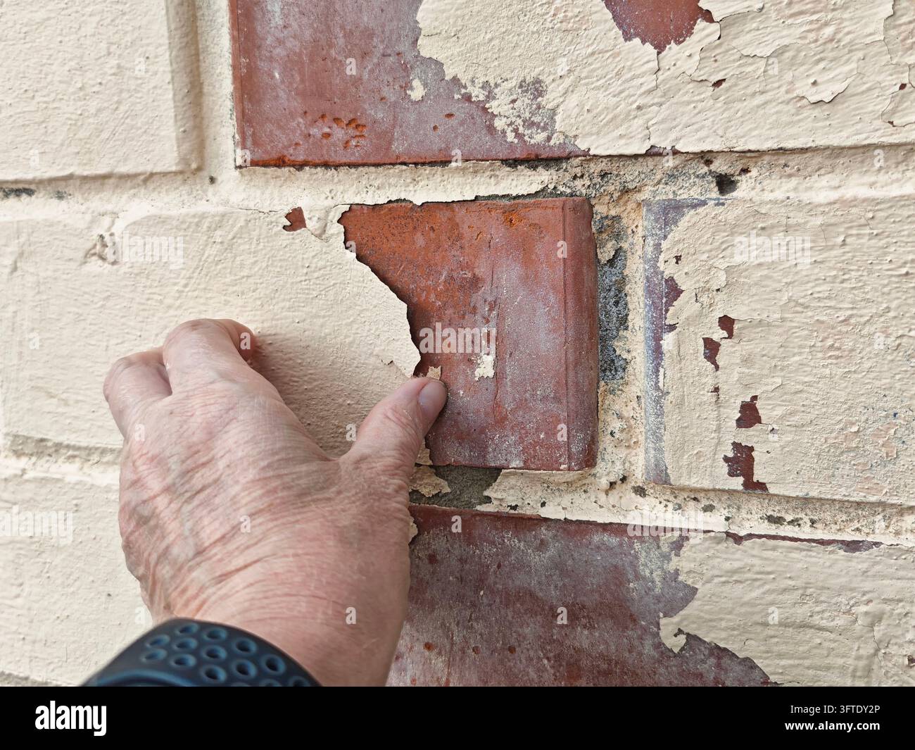 Une main vérifie une section détachée d’un revêtement mural vieilli, révélant des blocs rouges, de la peinture craquelée et du mortier détérioré en dessous pour un concept de réparation Banque D'Images
