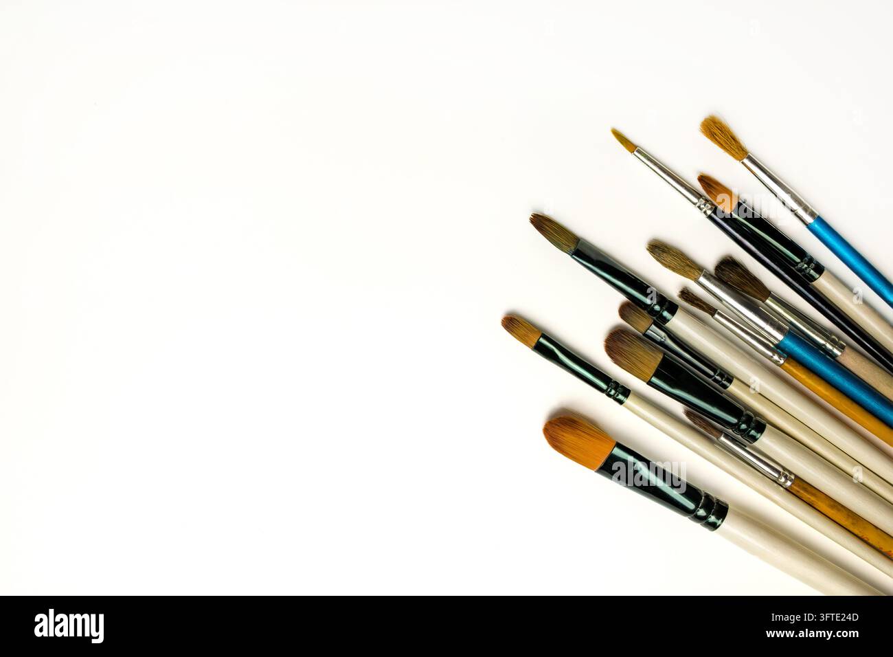 Un ensemble de pinceaux de différentes tailles et formes sur un fond blanc, vue de dessus. Banque D'Images