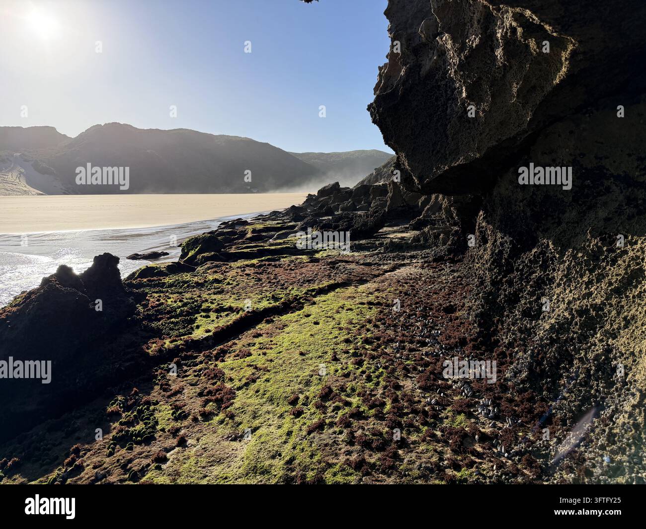 Grotte côtière baignée de soleil sur la côte de Tsitsikamma, photographiée à l'embouchure de la rivière Storms dans le parc national de Tsitsikamma, en Afrique du Sud. - Image de stock capturée avec un smartphone