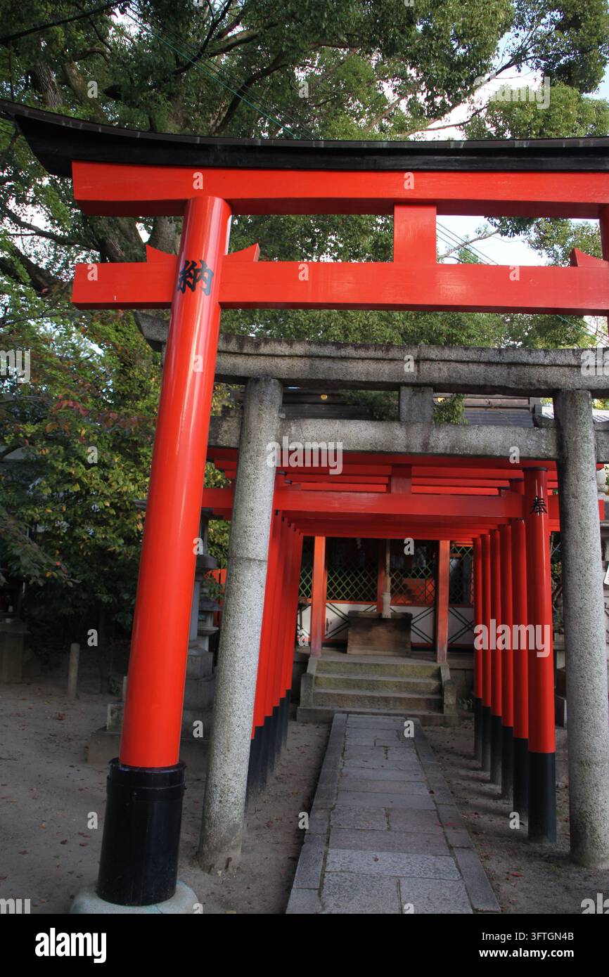 Des rangées de portes torii vermillon mènent à un petit sanctuaire shintoïste à Kyoto, au Japon. Banque D'Images