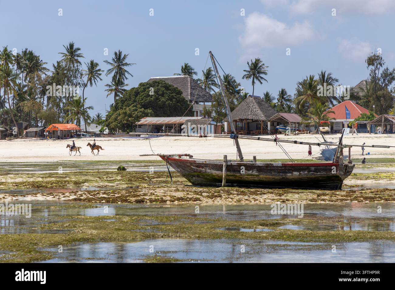 Dhow en bois patiné échoué sur une vasière couverte d'algues à marée basse avec des bars de plage couverts de chaume, des palmiers et deux cavaliers, Nungwi, Tanzanie Banque D'Images