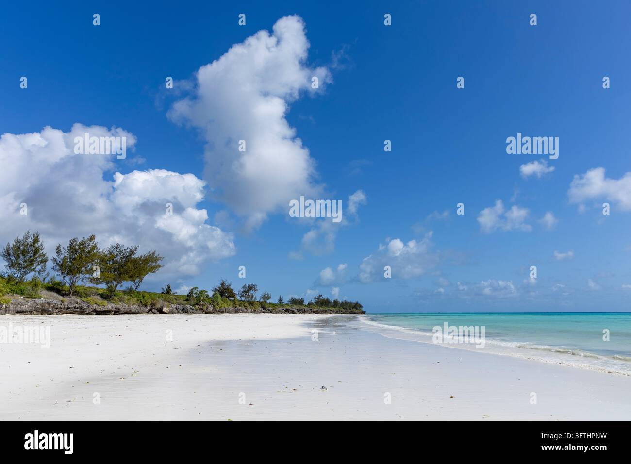 Plage de sable blanc déserte avec une eau peu profonde turquoise et des arbres casuarina sur une côte rocheuse de corail sous un ciel bleu profond, Matemwe, Tanzanie Banque D'Images