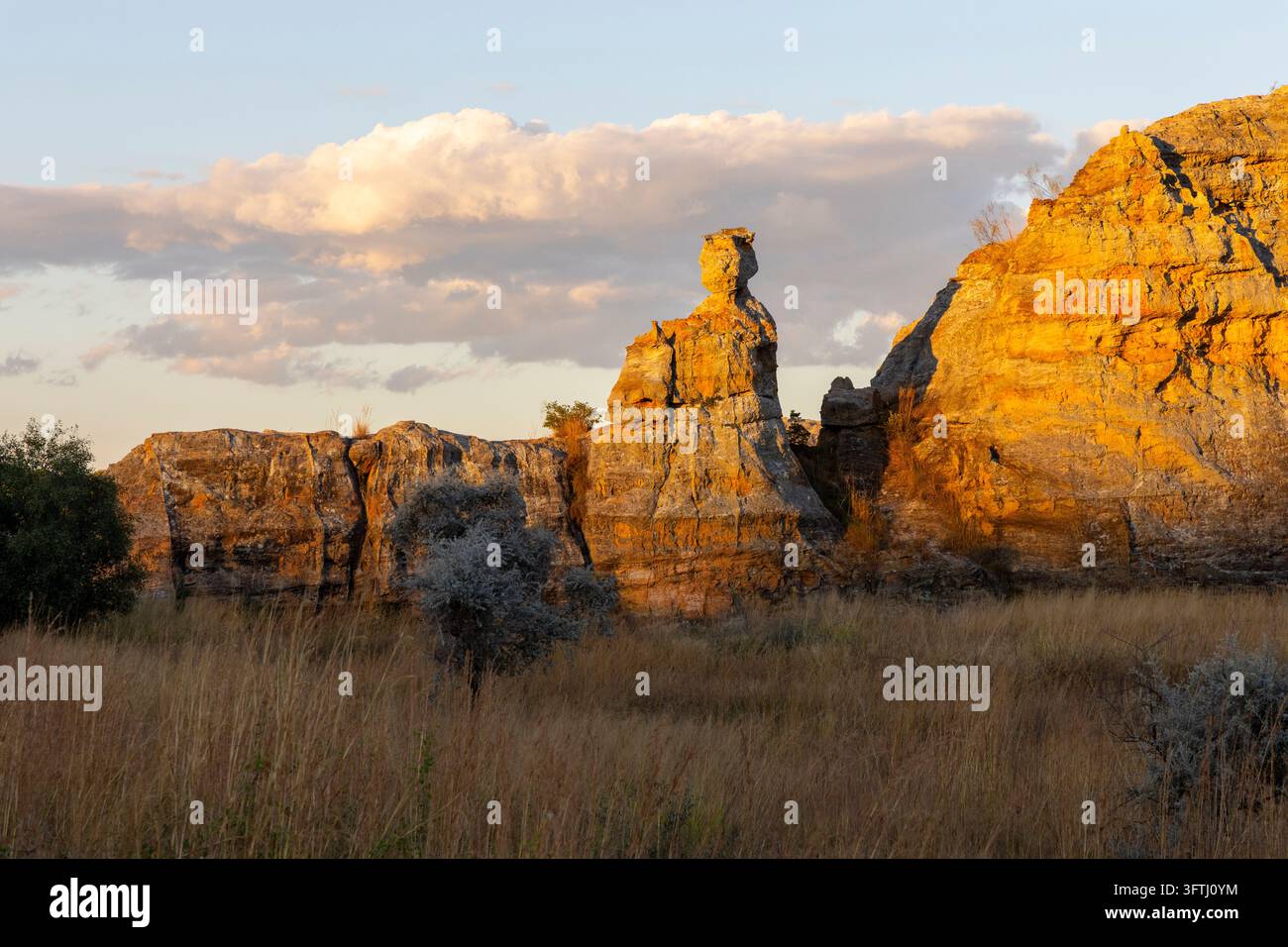 La lumière dorée du coucher de soleil illumine les falaises de grès érodées et les tours rocheuses du parc national de l'Isalo, Ihorombe, Isalo, Madagascar Banque D'Images