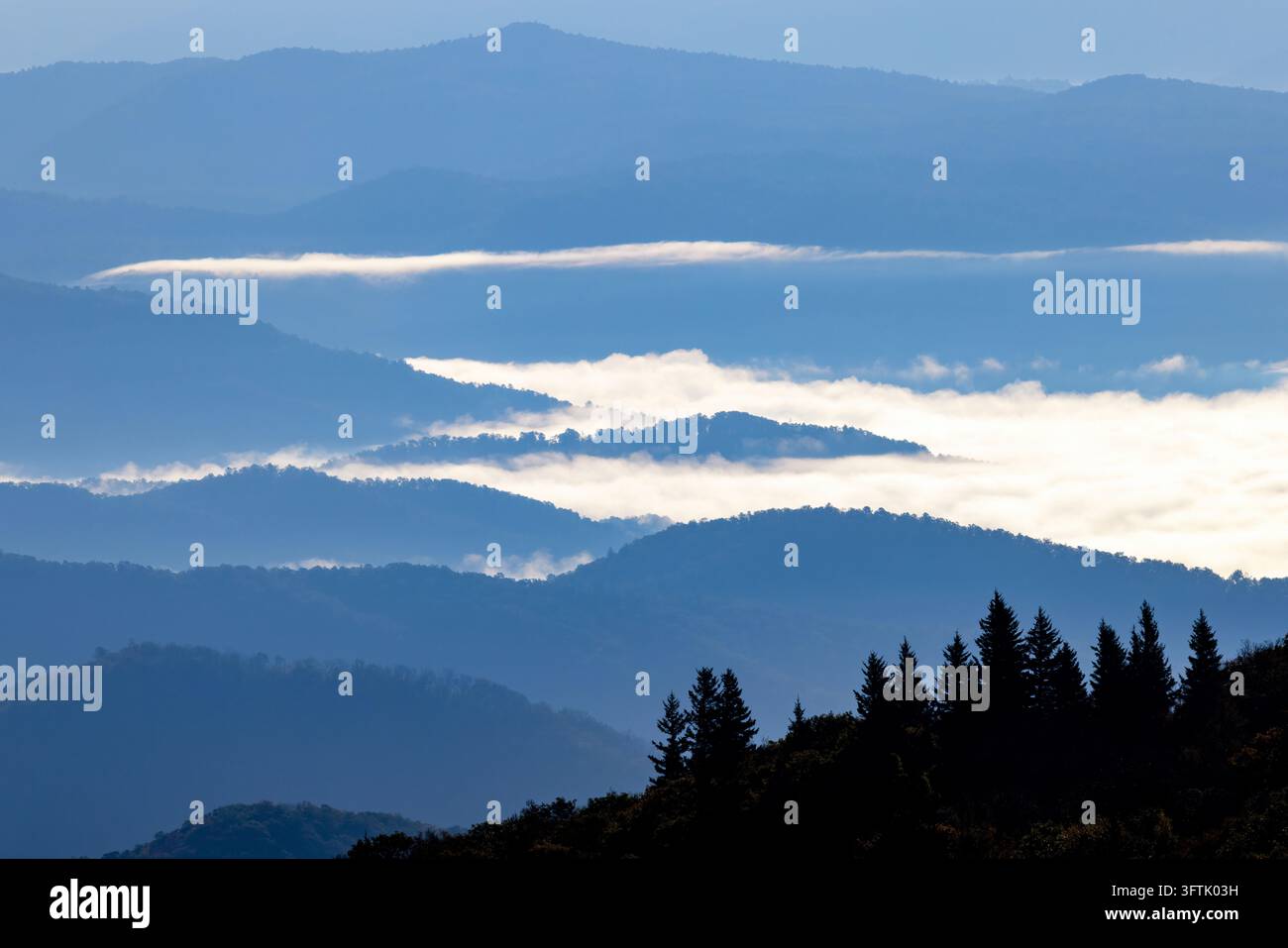 Vue des Blue Ridge Mountains et du brou dans la vallée depuis Black Balsam Knob - Blue Ridge Parkway, Caroline du Nord, États-Unis Banque D'Images