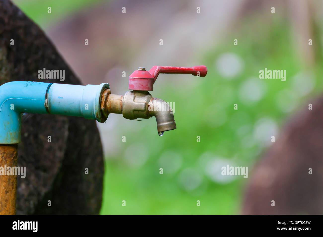 Un robinet d'extérieur fixé à un tuyau bleu à côté d'un arbre, avec une poignée rouge et une seule goutte d'eau sur un fond vert doux, suggérant la conservation de l'eau Banque D'Images