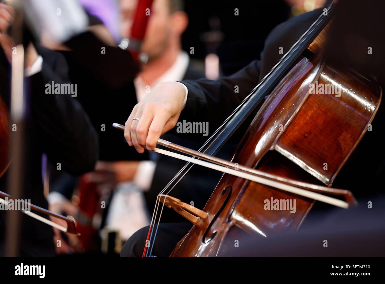Un gros plan d'un violoncelliste en costume jouant son instrument à cordes avec un archet pendant un concert symphonique. Banque D'Images