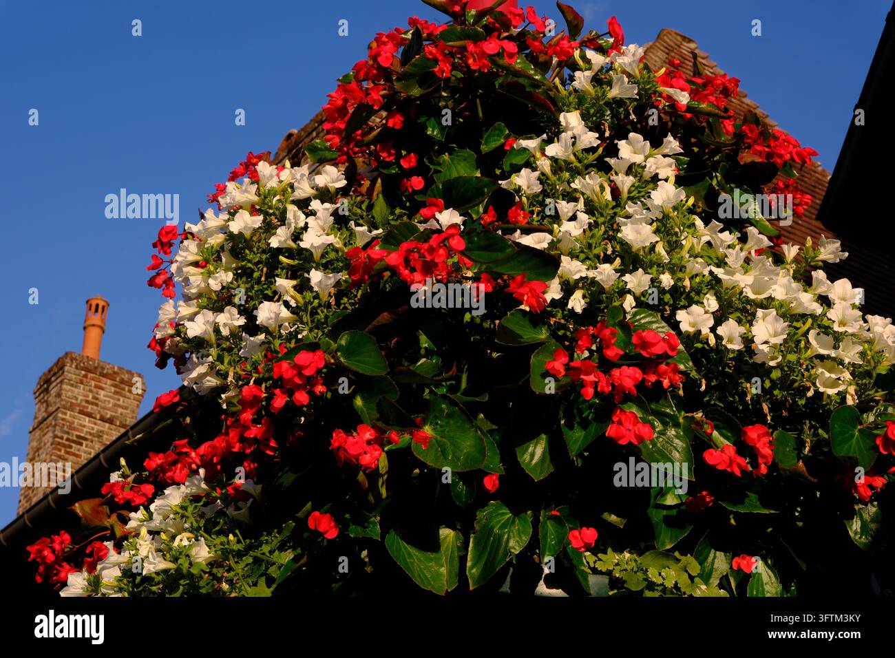 Des bégonias rouges et des pétunias blancs ornent une façade sous le ciel bleu à L'Hôtellerie. Banque D'Images