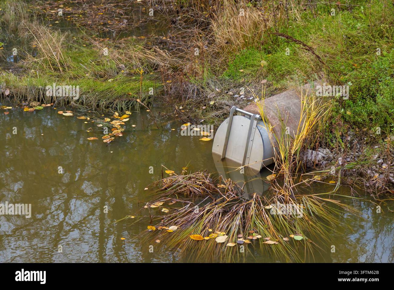 Un tuyau d'écoulement d'eau en béton équipé d'une valve à clapet métallique est situé sur la rive d'un étang à Espoo, en Finlande, entouré d'herbe d'automne et de feuilles tombées Banque D'Images