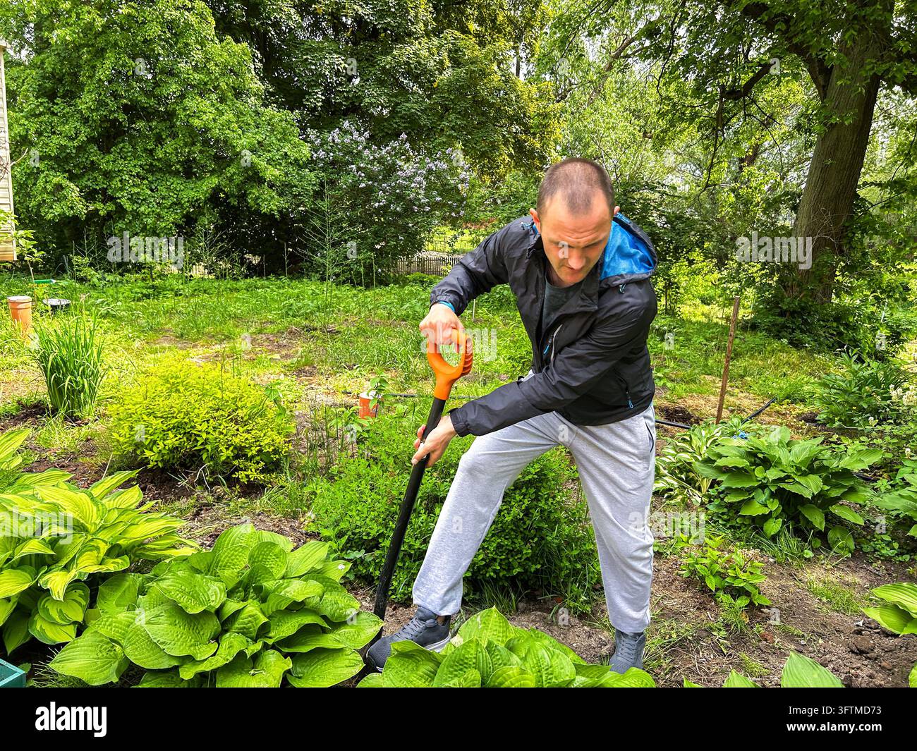Un homme nettoie le jardin privé sur sa propriété. Il transplante de nouvelles plantes et creuse la terre avec une pelle Banque D'Images