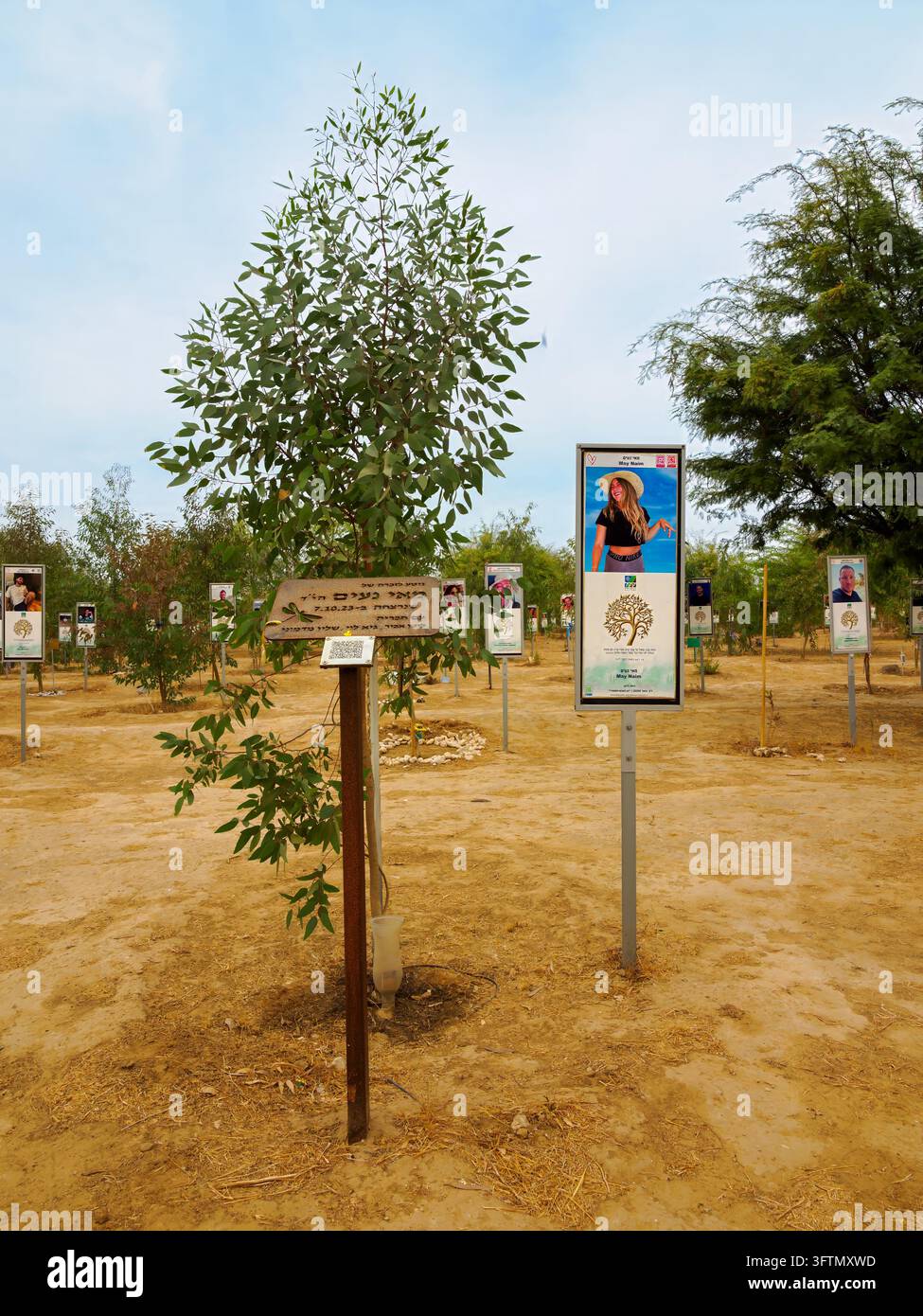 14 octobre 2026 : Une nouvelle forêt pousse au Kibboutz Reim, en Israël, avec un arbre pour chaque personne assassinée par le Hamas lors du festival Nova le 7 octobre 2023 Banque D'Images