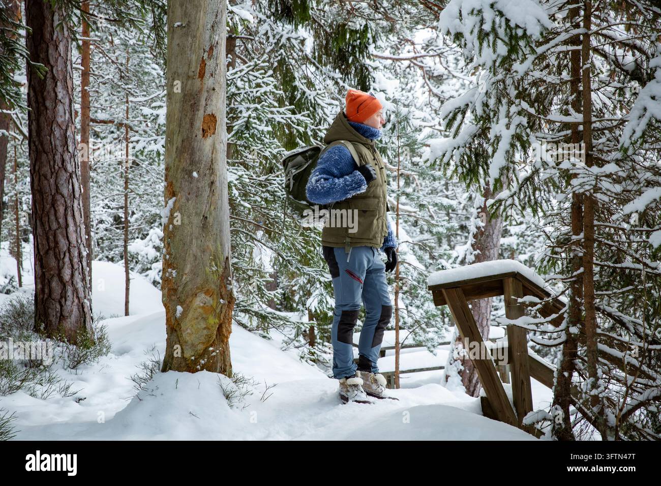 Un randonneur masculin avec un sac à dos se tient sur un sentier forestier enneigé et regarde vers le haut, profitant des voyages d'hiver actifs dans une forêt finlandaise pittoresque. Banque D'Images