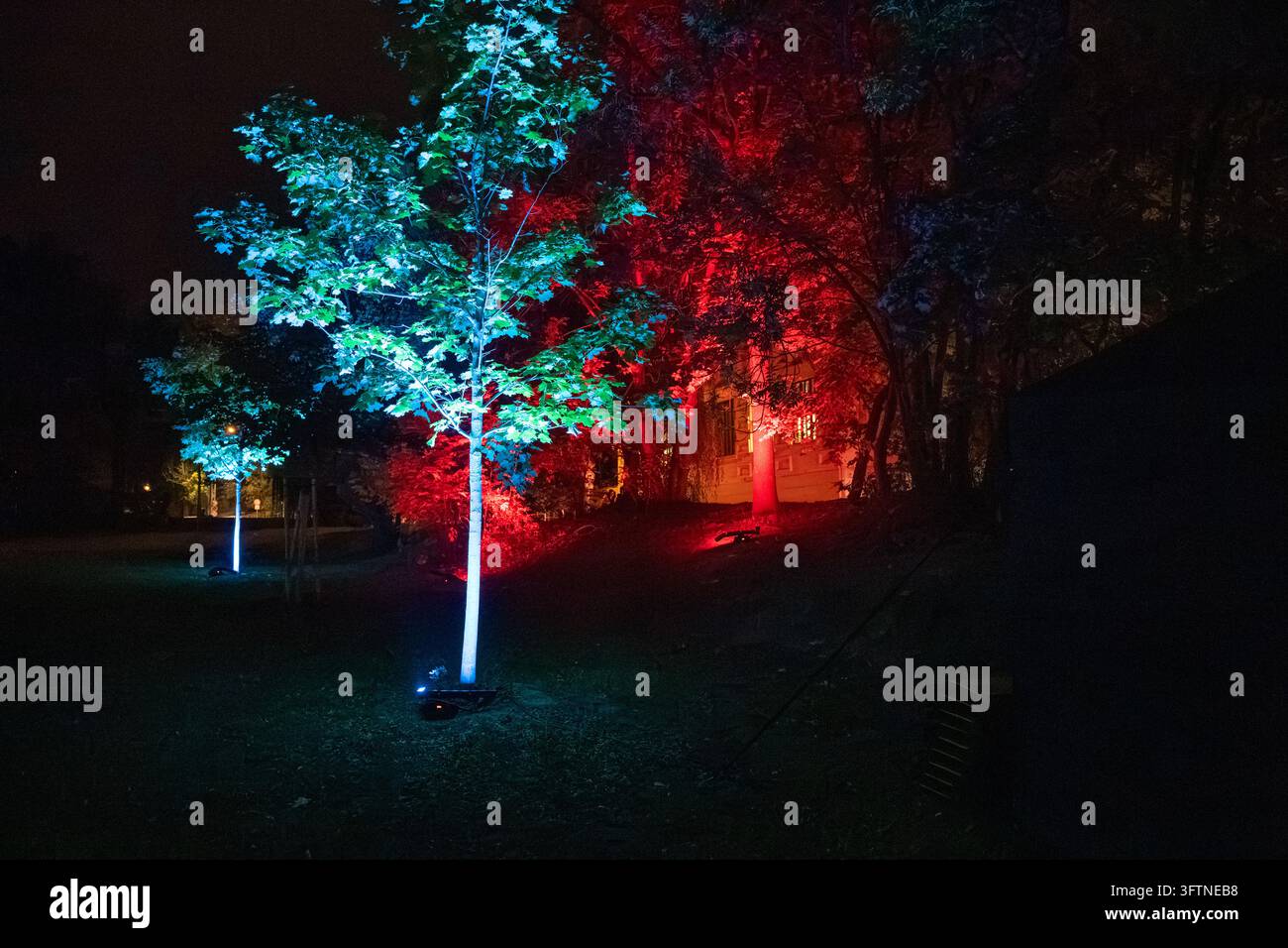 Les arbres brillent dans une lumière bleue et rouge contrastée dans le cadre de l'illumination artistique extérieure du Festival Signal 2026. Banque D'Images