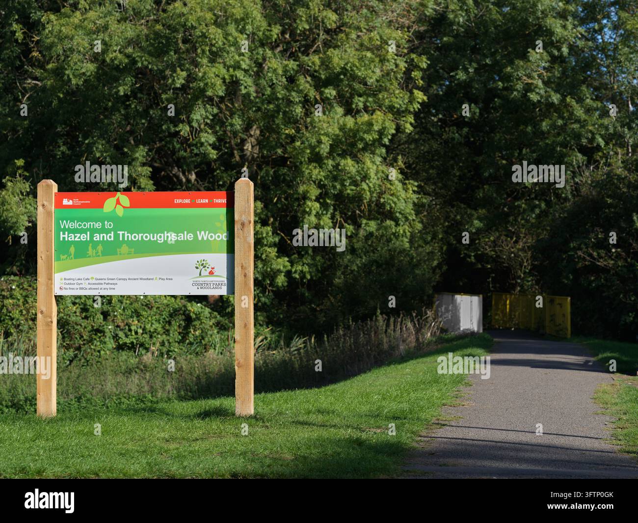 Hazel et Thoroughsale Wood, Corby, Angleterre. Banque D'Images