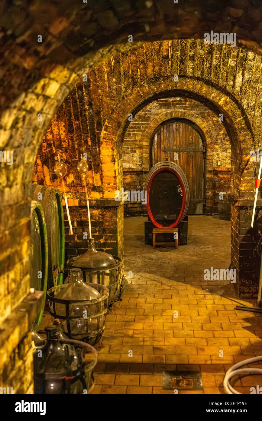 Cave à vin historique comportant des arches en brique, une porte en bois, de grands tonneaux et des carafes en verre Banque D'Images
