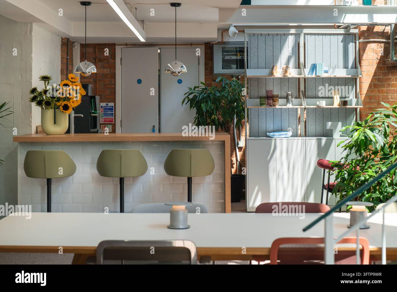Vue de l'intérieur moderne de l'Office Mix présentant un comptoir en bois avec des tabourets verts, un vase de tournesols et une table commune dans un espace de travail lumineux Banque D'Images