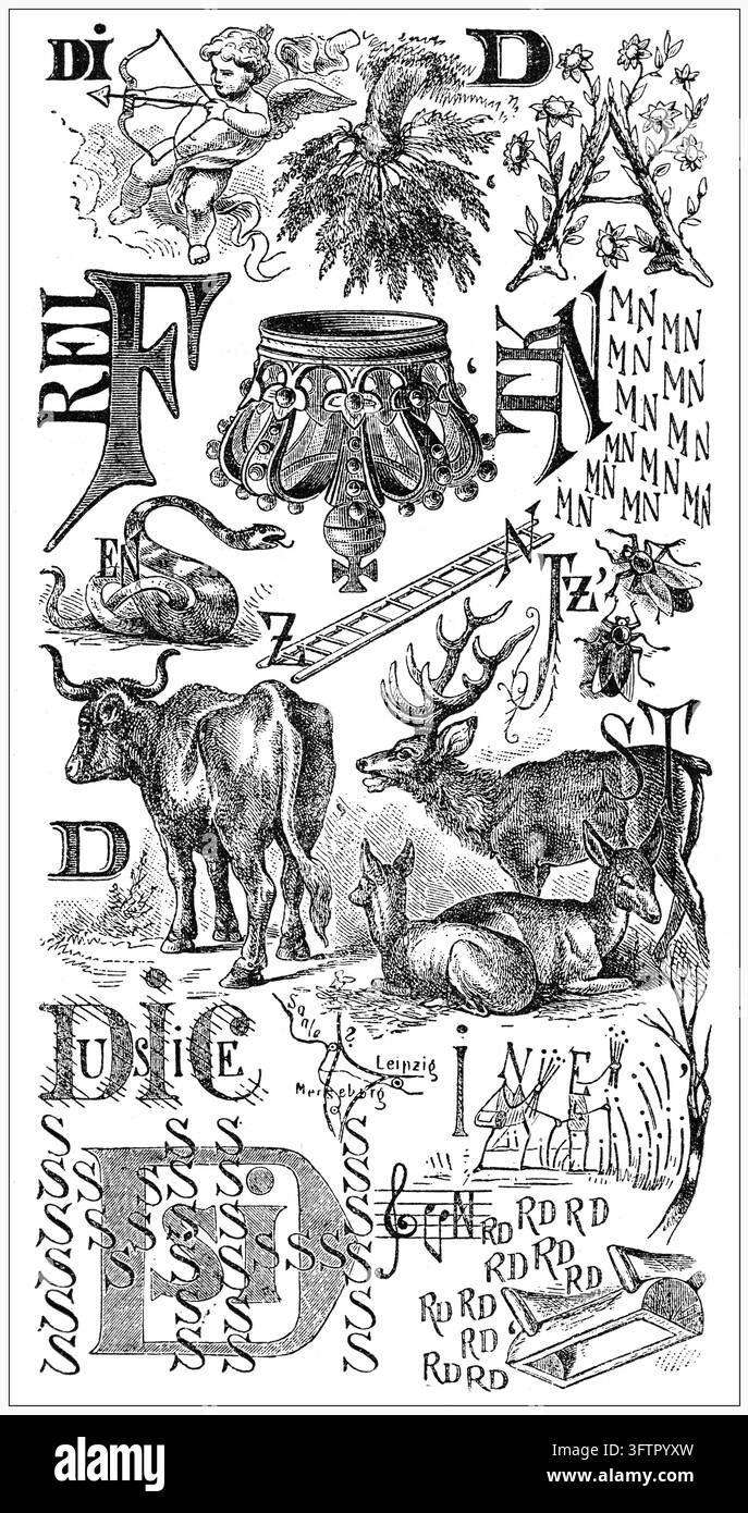 Illustration de puzzle Rebus : Composition complexe d'animaux, de botanique et de lettres formant une énigme visuelle. Gravure du XIXe siècle. Banque D'Images