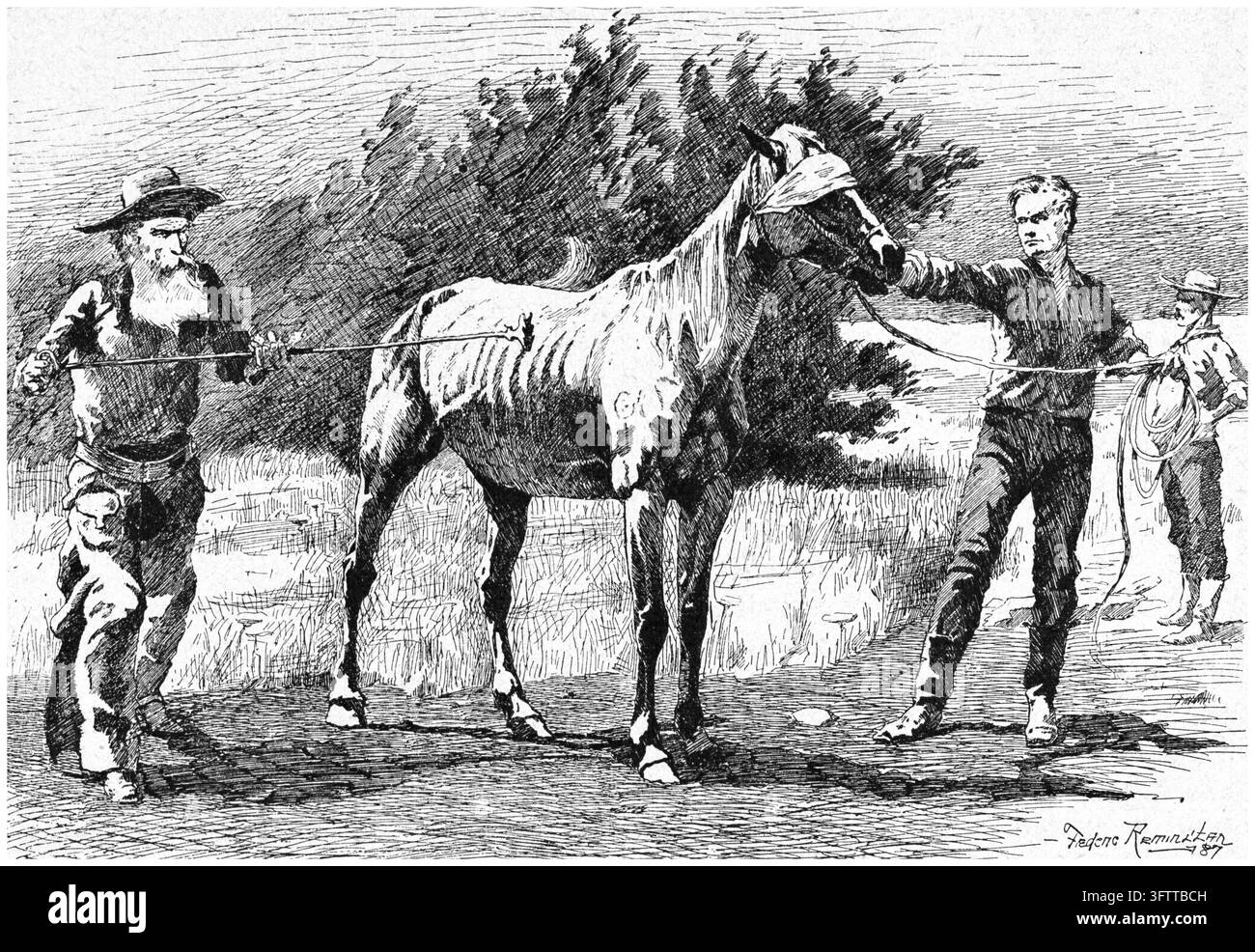 Scène de marquage de chevaux, cheval aveuglé avec des cow-boys et un fer à marquer, Ouest américain, gravure du XIXe siècle. Banque D'Images