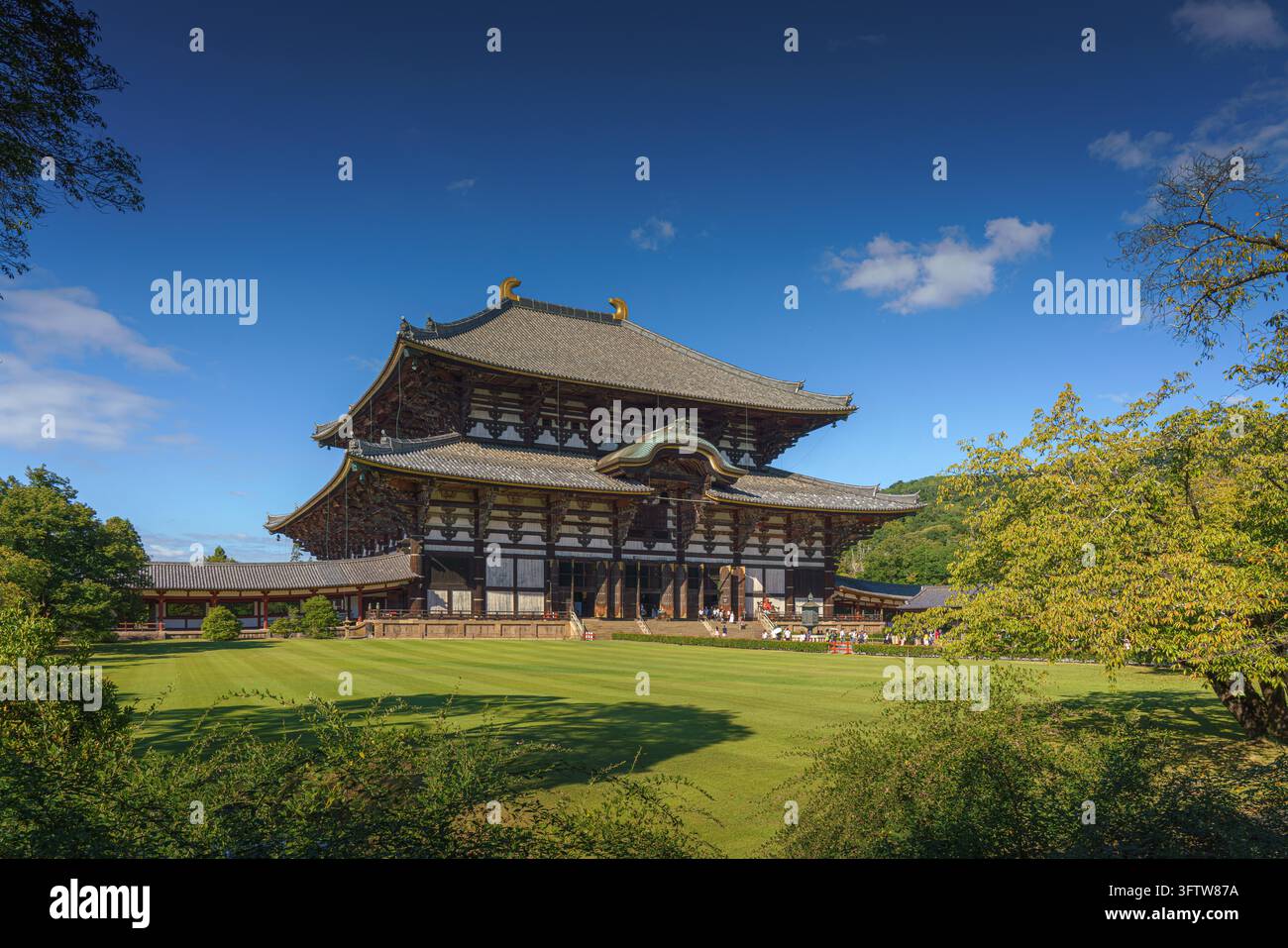 Nara, Japon - septembre 26 2024, vue panoramique du temple Todaiji avec pelouse et arbres au premier plan, en journée avec ciel bleu clair, Nara, Japon Banque D'Images