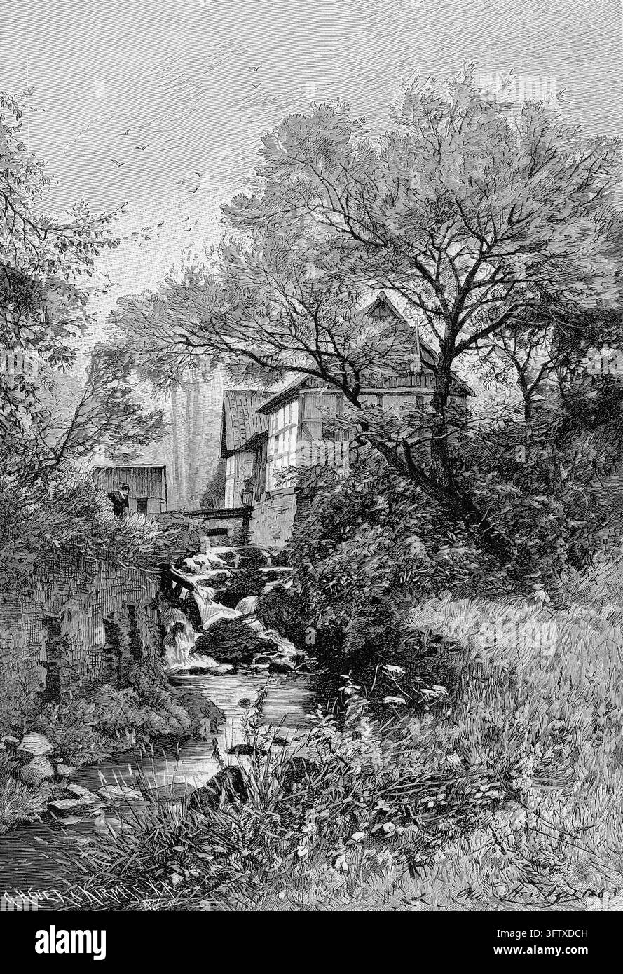 Ruisseau coulant près d'un moulin à eau rural avec cascade, paysage luxuriant, gravure du XIXe siècle. Banque D'Images