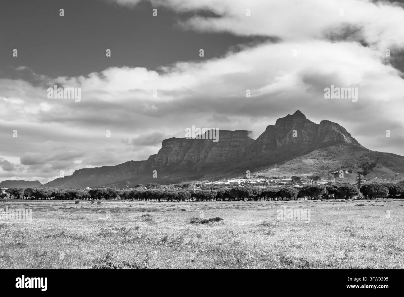 Montagne de la Table en noir et blanc et pic du Diable au-dessus des prairies du Cap Banque D'Images