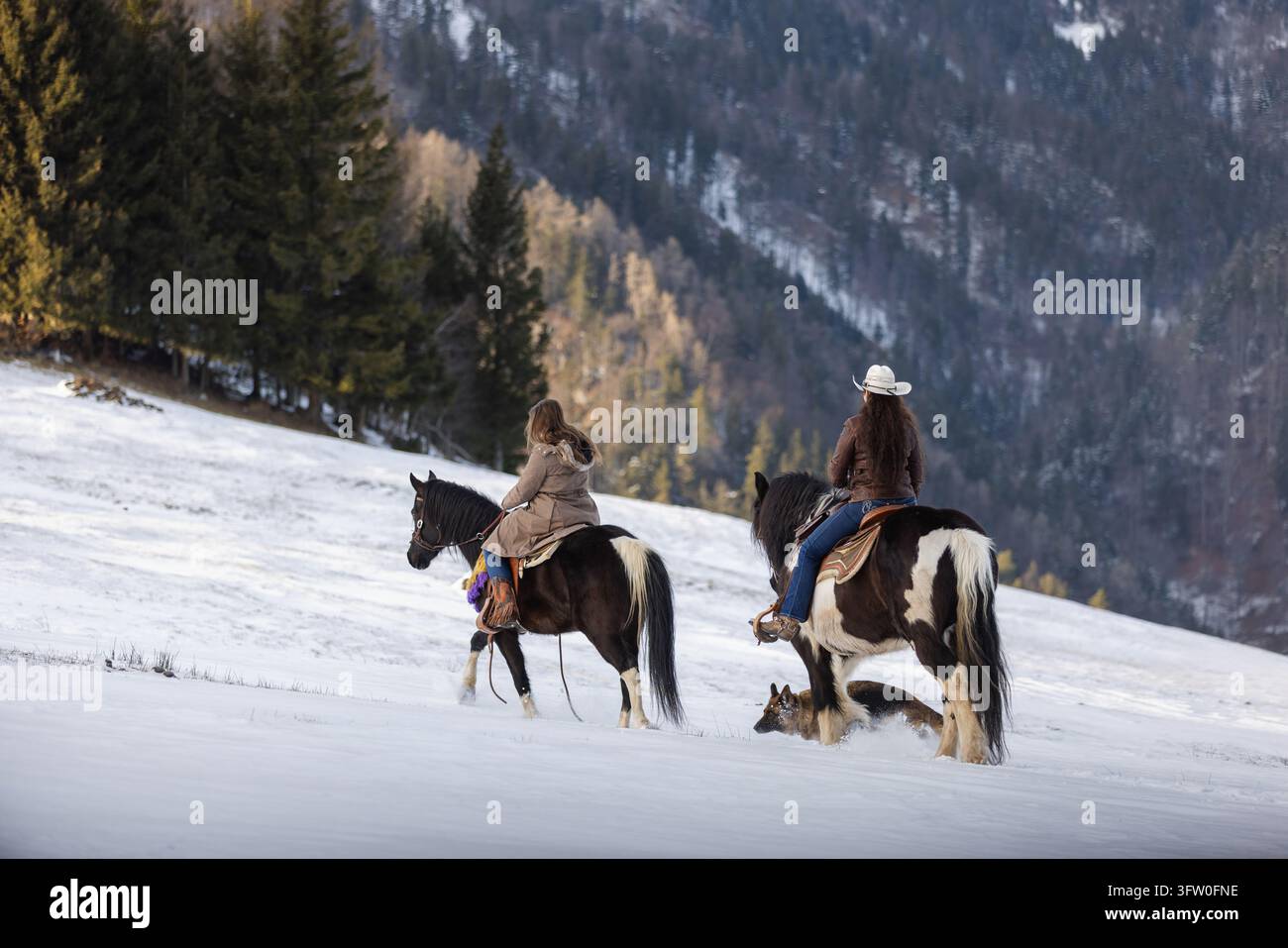 Profitant d'une évasion hivernale active à cheval, deux femmes explorent la campagne enneigée et passent du temps à l'extérieur entourées d'une nature paisible. Banque D'Images