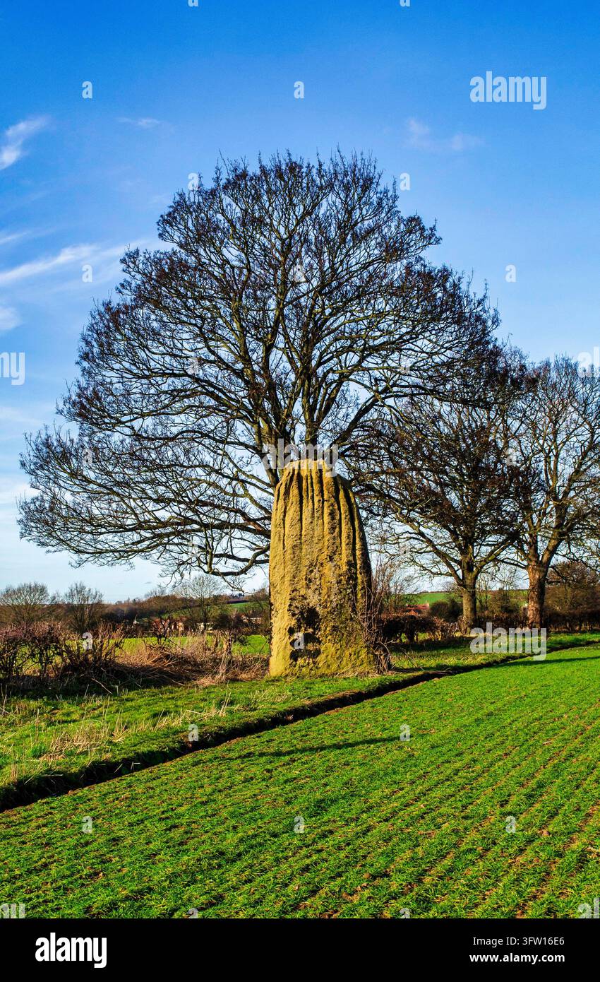 Les Devils Arrows comprennent trois mégalithes impressionnants. D'origine bronze, ils sont situés dans le Yorkshire, en Angleterre Banque D'Images