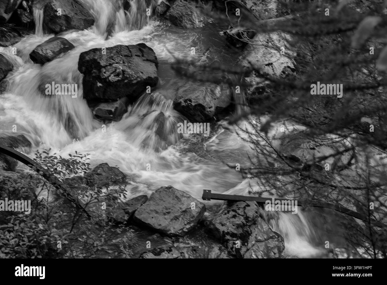 Ruisseau de montagne noir et blanc dévalant sur des rochers moussus dans une forêt alpine, Suisse Banque D'Images