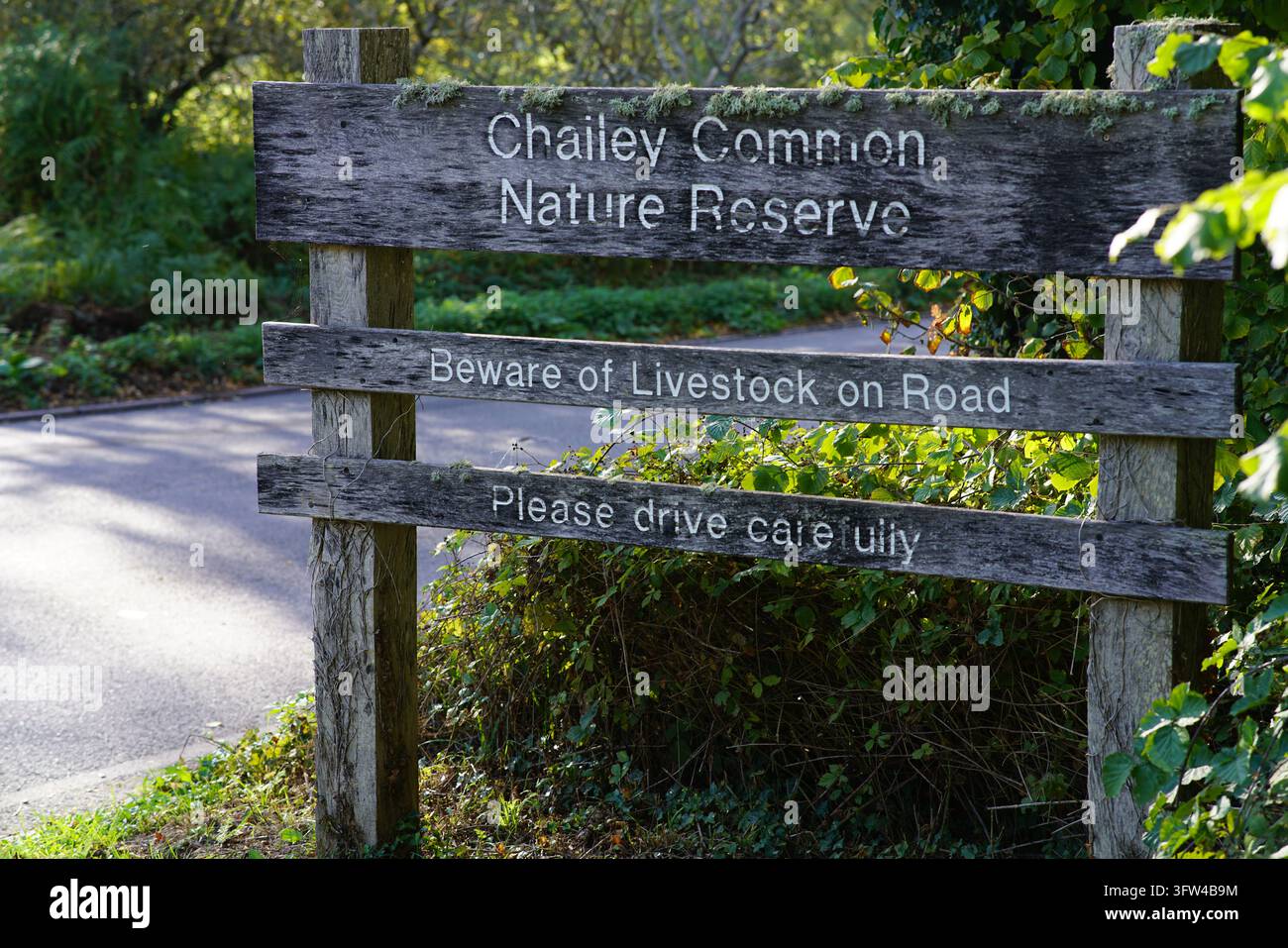 Panneau en bois patiné pour la réserve naturelle de Chailey Common au bord de la route dans l'East Sussex, en Angleterre. Banque D'Images