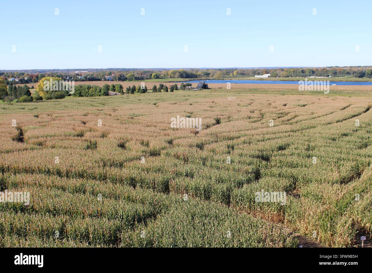 Labyrinthe de maïs en automne dans le nord de l'Illinois avec un étang en arrière-plan dans le nord de l'Illinois par une journée ensoleillée Banque D'Images