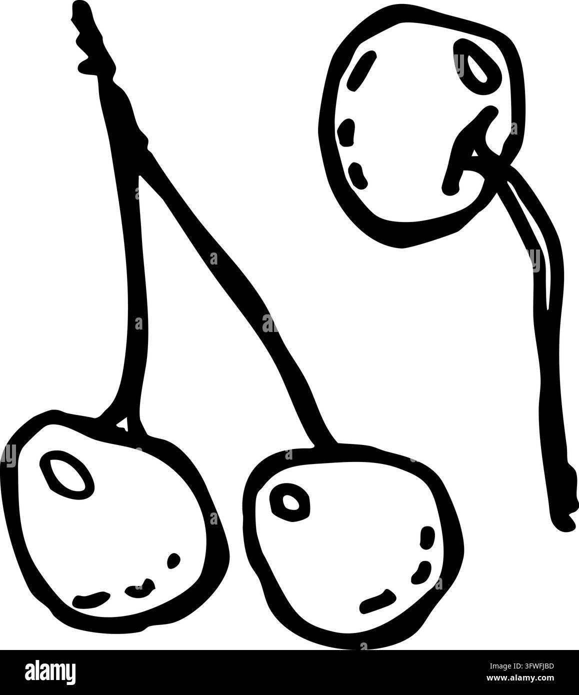 Illustration représentant trois cerises sur des tiges Illustration de Vecteur