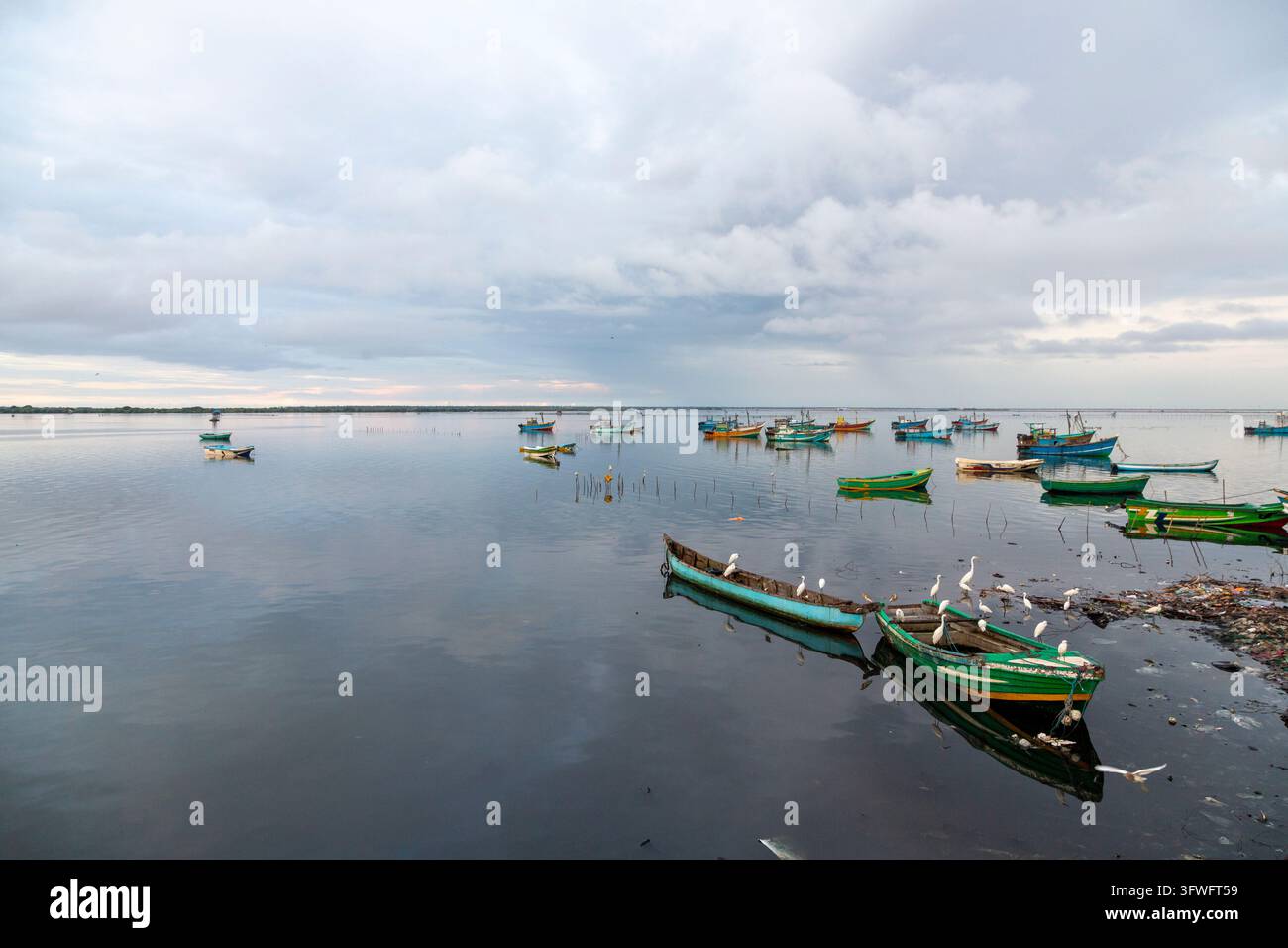 Bateaux de pêche et hérons dans une lagune calme sous un ciel nuageux, Province du Nord, Jaffna, Sri Lanka Banque D'Images