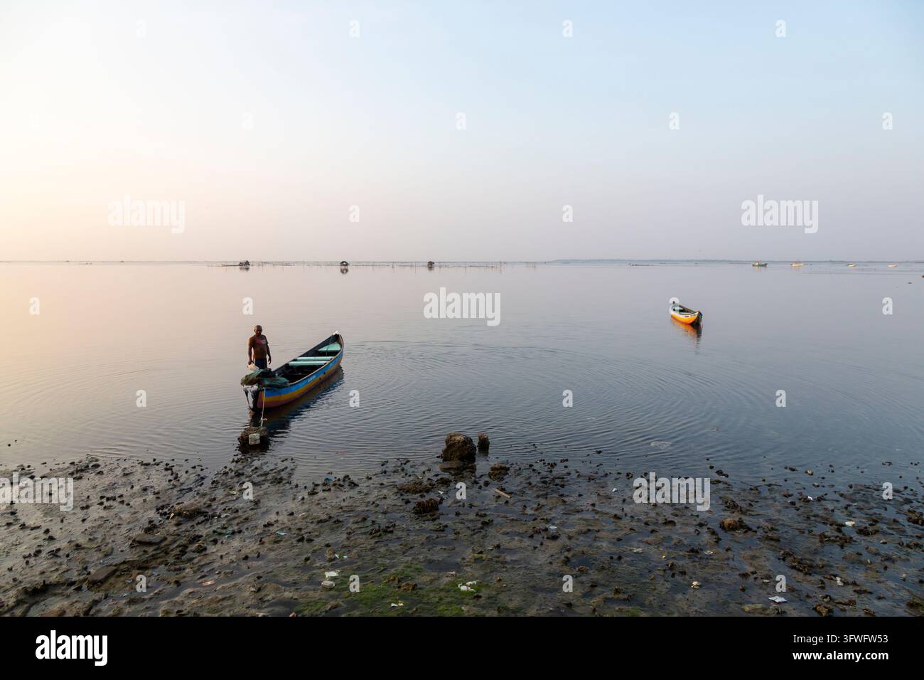 Pêcheur debout sur un petit bateau dans une lagune calme à l'aube, Province du Nord, Jaffna, Sri Lanka Banque D'Images