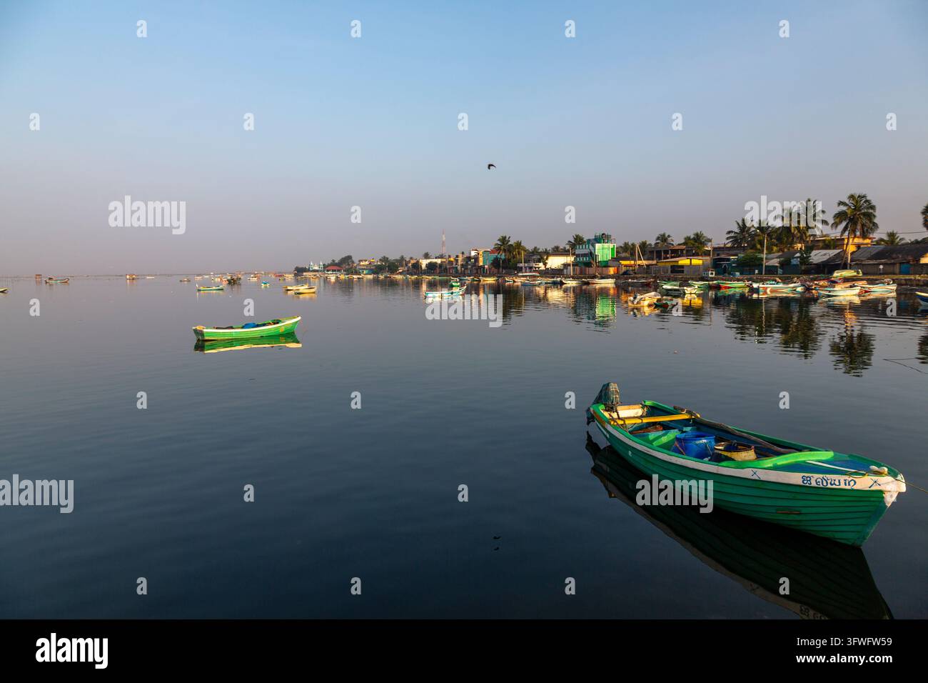 Bateaux de pêche flottant sur une lagune calme avec des palmiers sur la rive, Province du Nord, Jaffna, Sri Lanka Banque D'Images