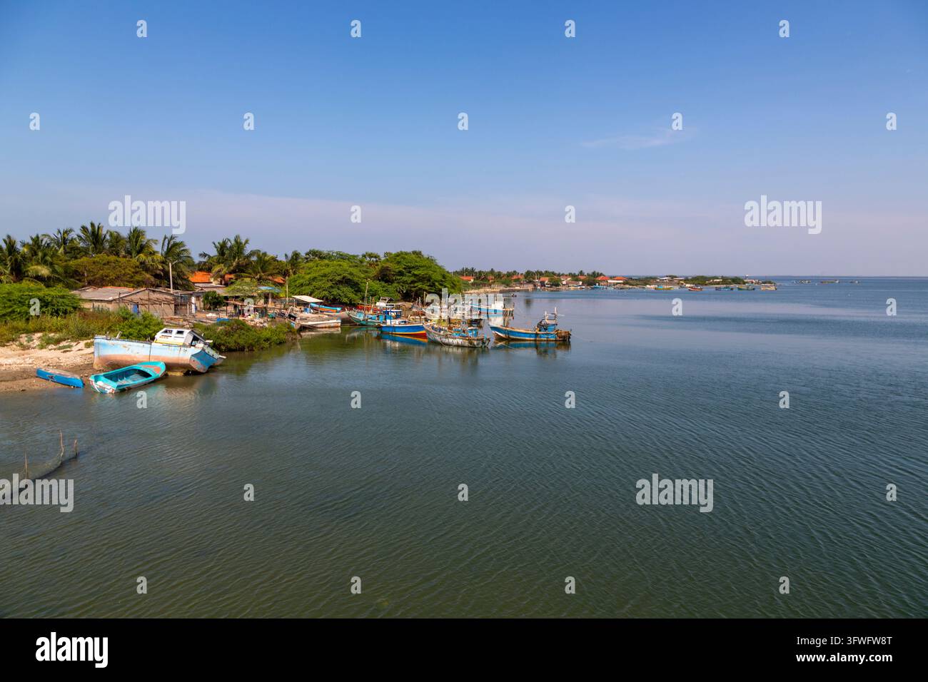 Bateaux de pêche amarrés le long d'une rive calme de lagon avec palmiers, Province du Nord, Mannar, Sri Lanka Banque D'Images