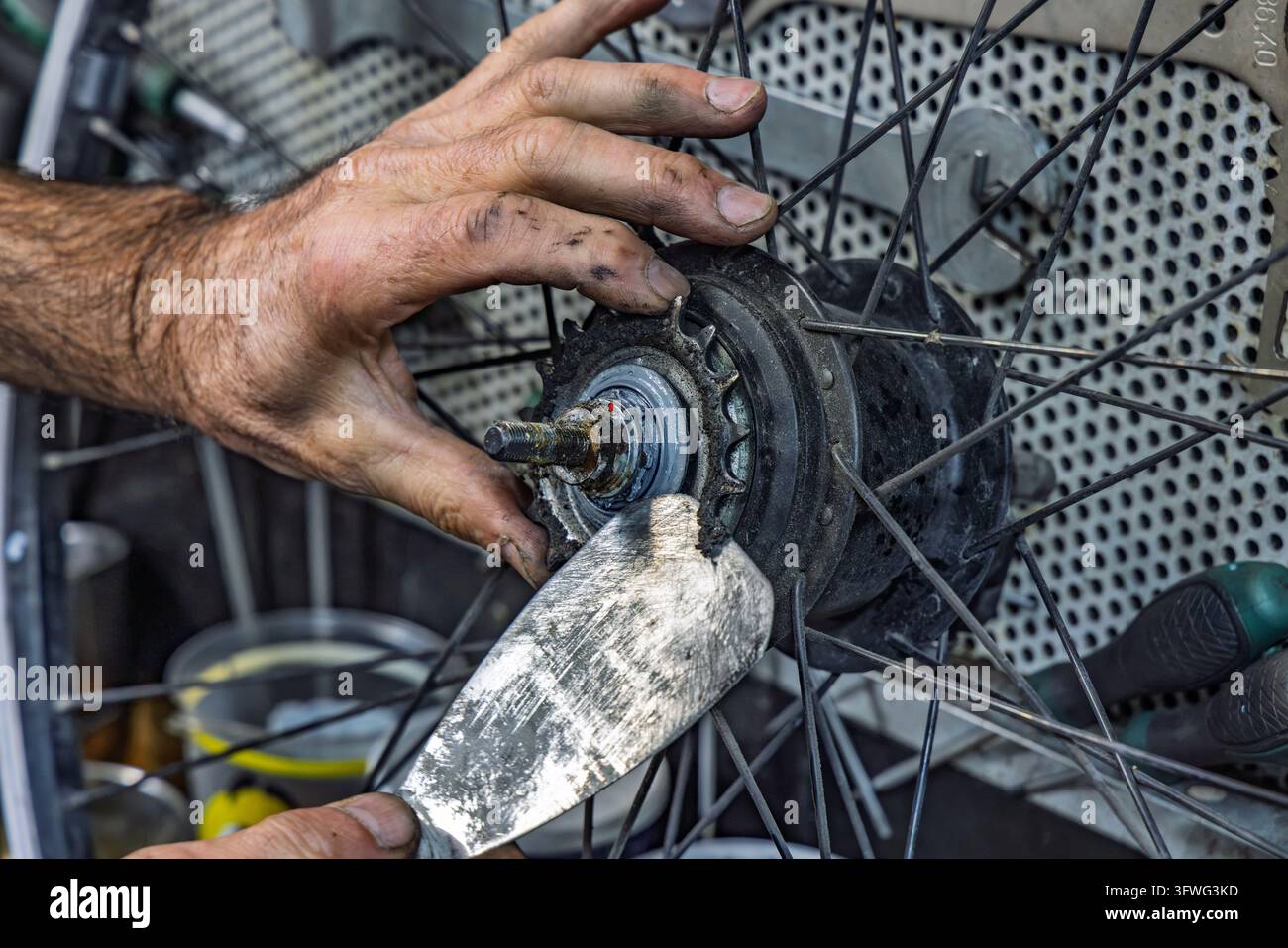 Mains de mécanicien grattant la graisse et la saleté du pignon de la roue arrière d’un vélo avec un outil de grattage dans un atelier de réparation professionnel. Banque D'Images