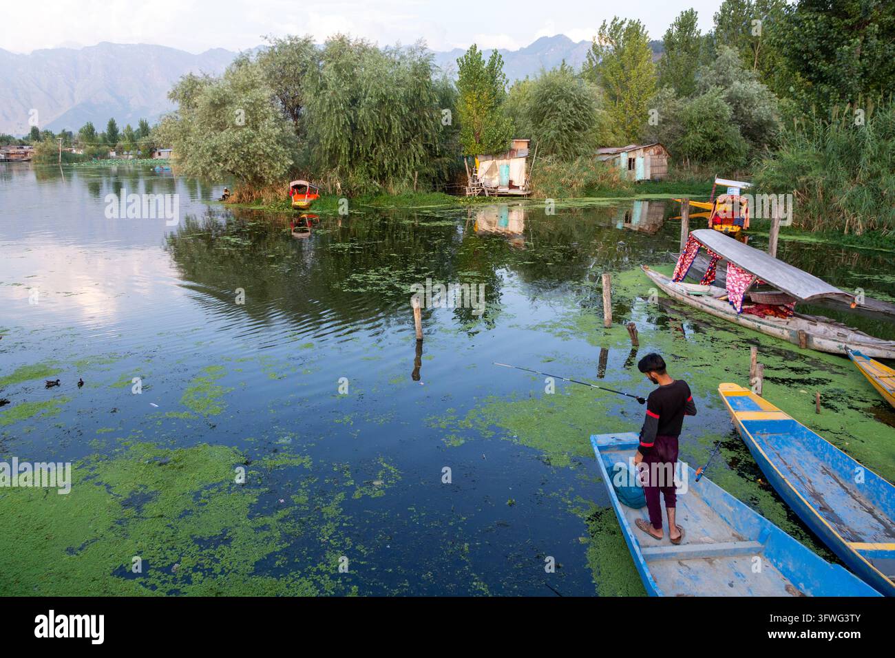 Jeune homme pêchant avec une canne à pêche debout dans un bateau en bois bleu sur un lac, Jammu-et-Cachemire, Srinagar, Inde Banque D'Images