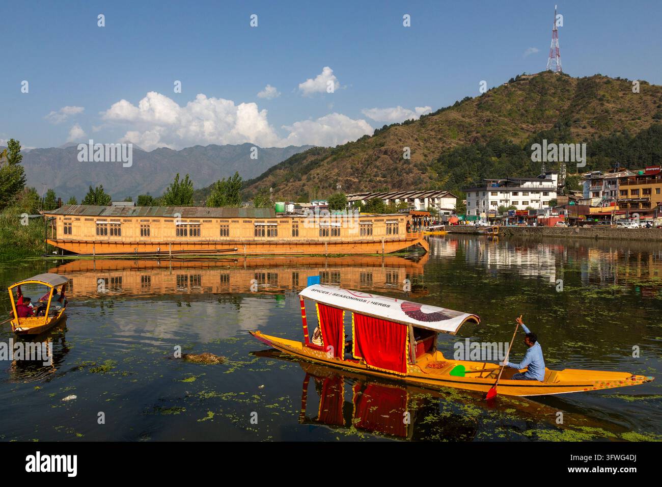 Batelier pagayant une shikara devant une péniche sur le lac Dal, à Jammu-et-Cachemire, Srinagar, Inde Banque D'Images