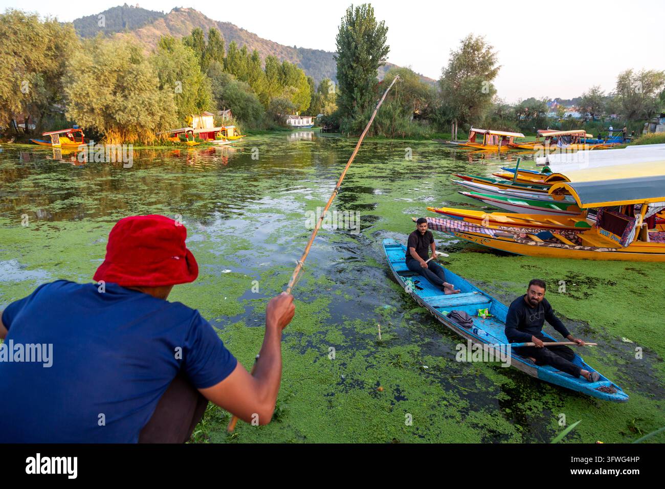 Homme pêchant avec une longue canne à proximité de deux hommes dans un bateau bleu sur le lac Dal, Jammu et Cachemire, Srinagar, Inde Banque D'Images