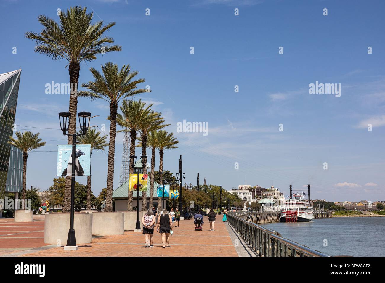 Les visiteurs se promènent le long d'une promenade piétonne bordée de palmiers au Woldenberg Riverfront Park, à côté du fleuve Mississippi à La Nouvelle-Orléans, Louisiane, États-Unis, wit Banque D'Images