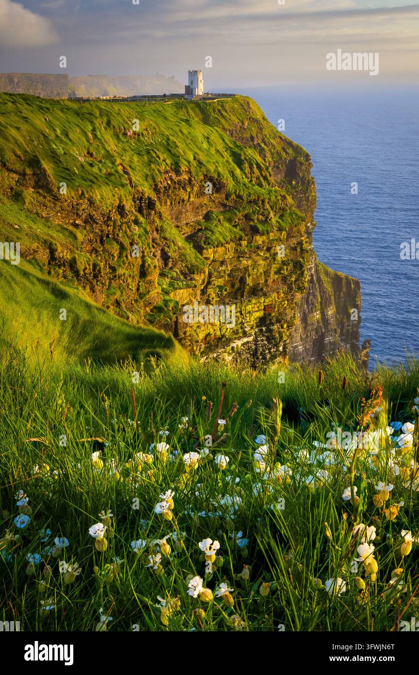 Les falaises de Moher sont falaises situé à l'extrémité sud-ouest de la région du Burren dans le comté de Clare, Irlande. Banque D'Images