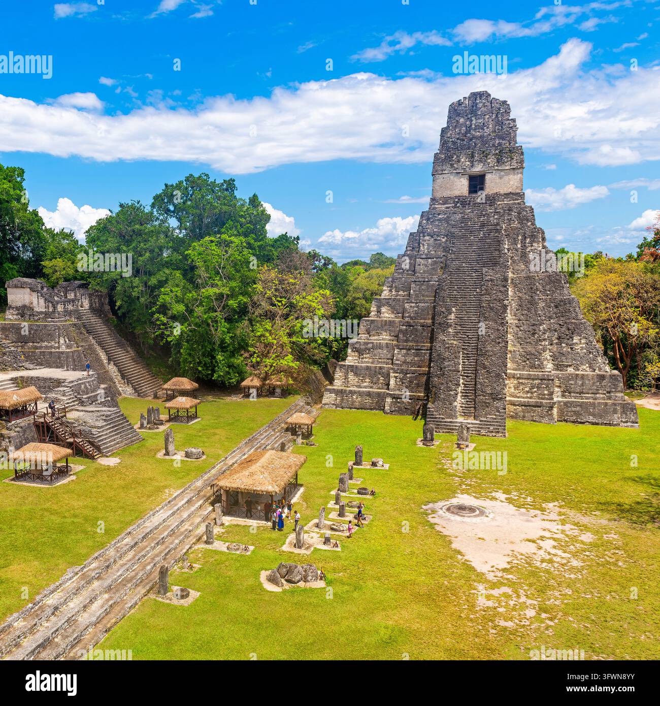 Place principale de Tikal, Parc national de Tikal, Guatemala. Banque D'Images