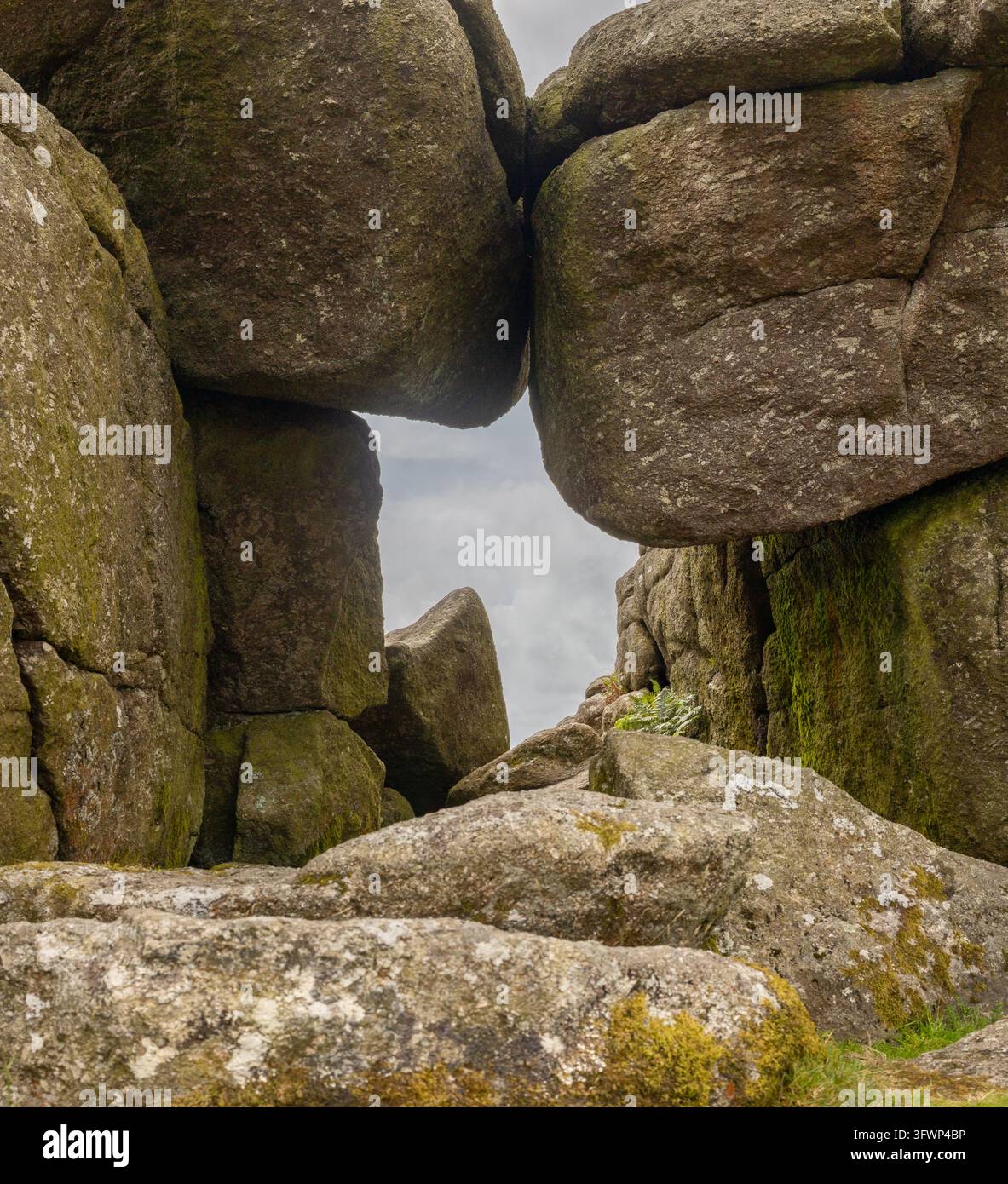 Angleterre, Devon, Dartmoor, Bonehill Rocks. La mousse et les lichens pâles s'accrochent aux surfaces rugueuses de la pierre, tandis que les interstices irréguliers entre les rochers révèlent une douce Banque D'Images
