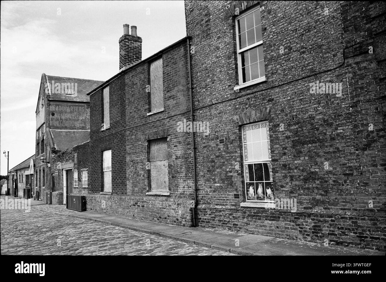 Chats à la fenêtre, King's Lynn. Photographie analogique, 2026. Banque D'Images