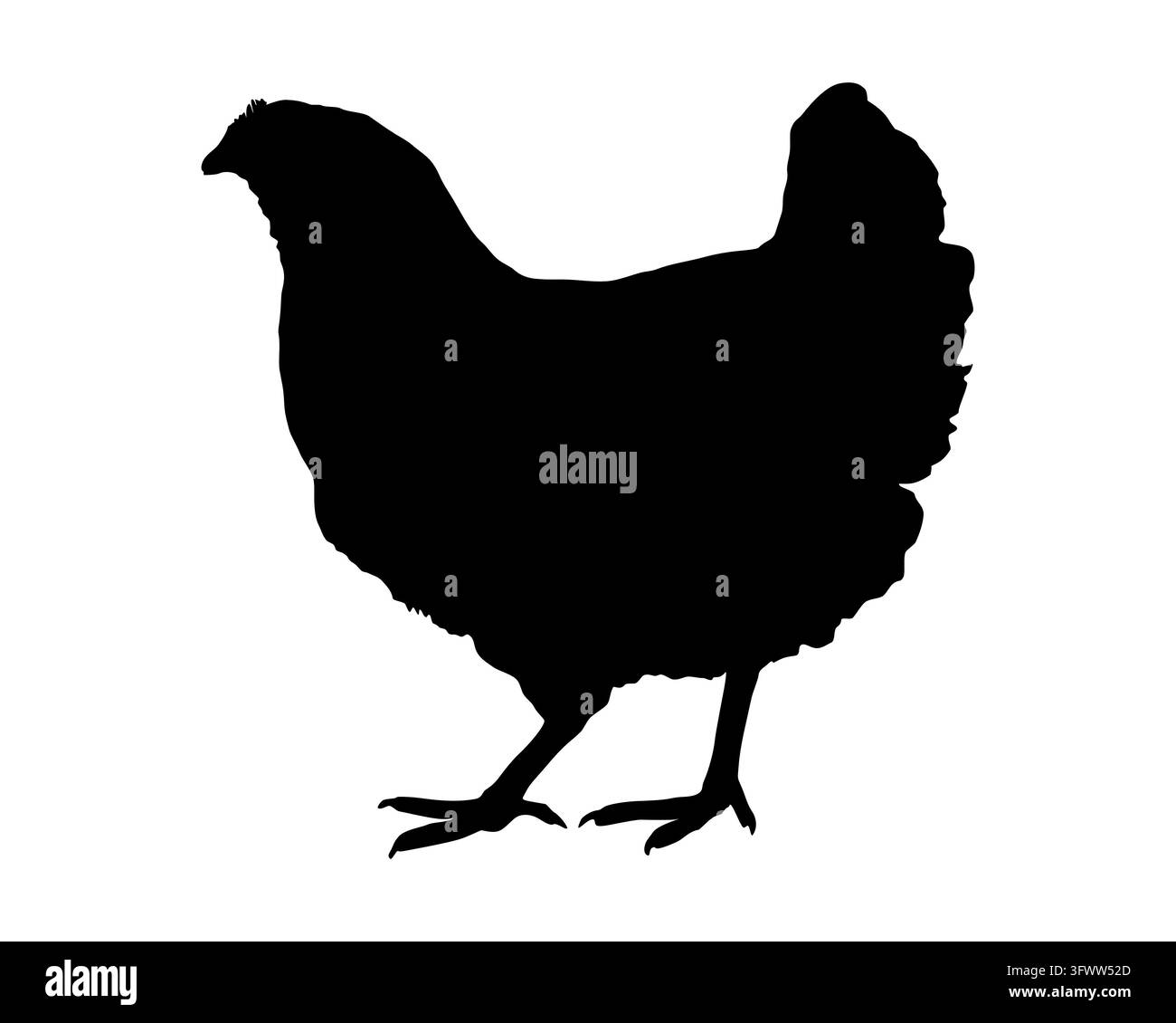 Silhouette d'un moineau bleu - silhouette d'une poule sur fond blanc Banque D'Images