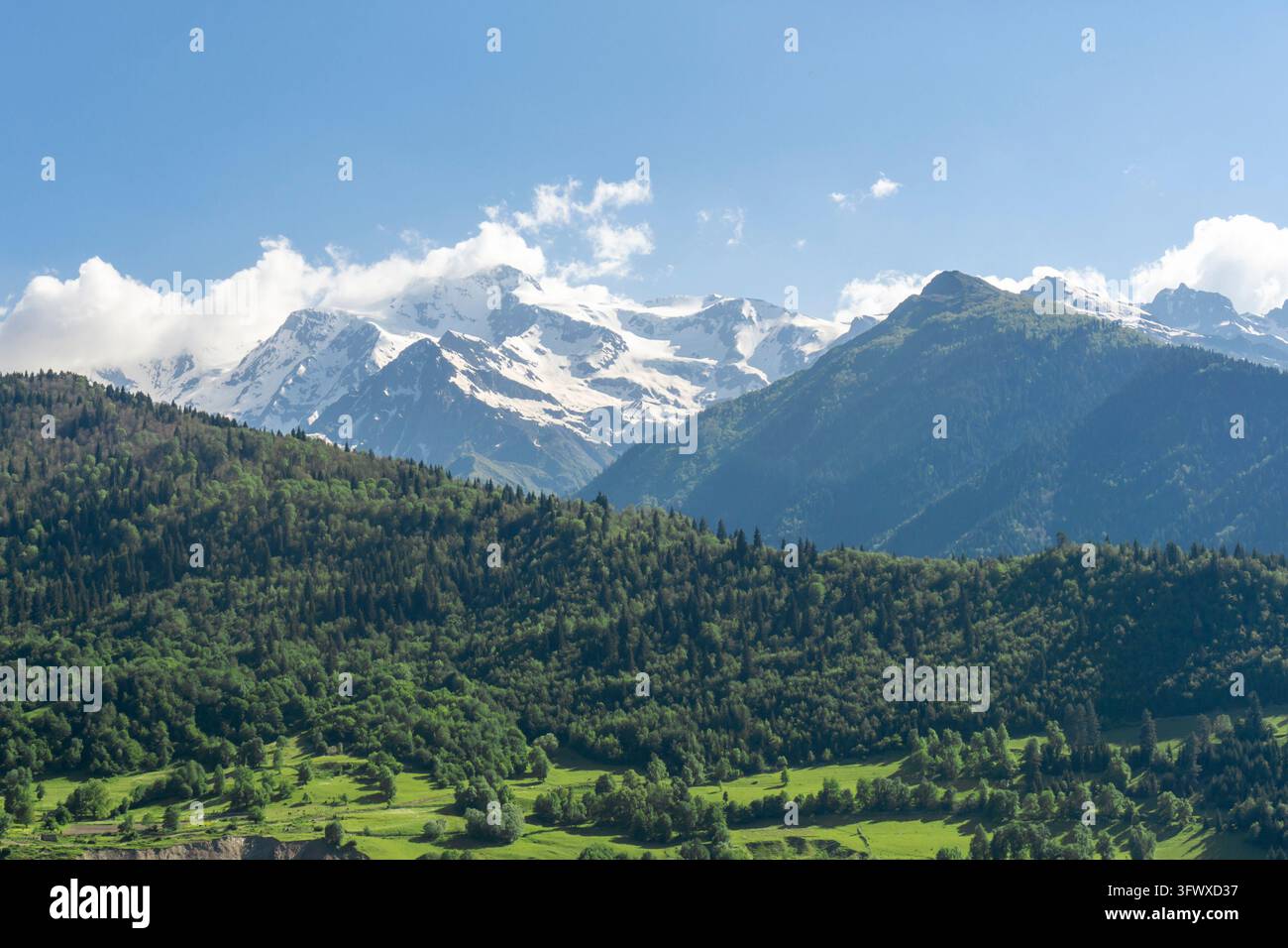 Sommets enneigés à hauteur des nuages. Collines couvertes d'arbres au premier plan Banque D'Images