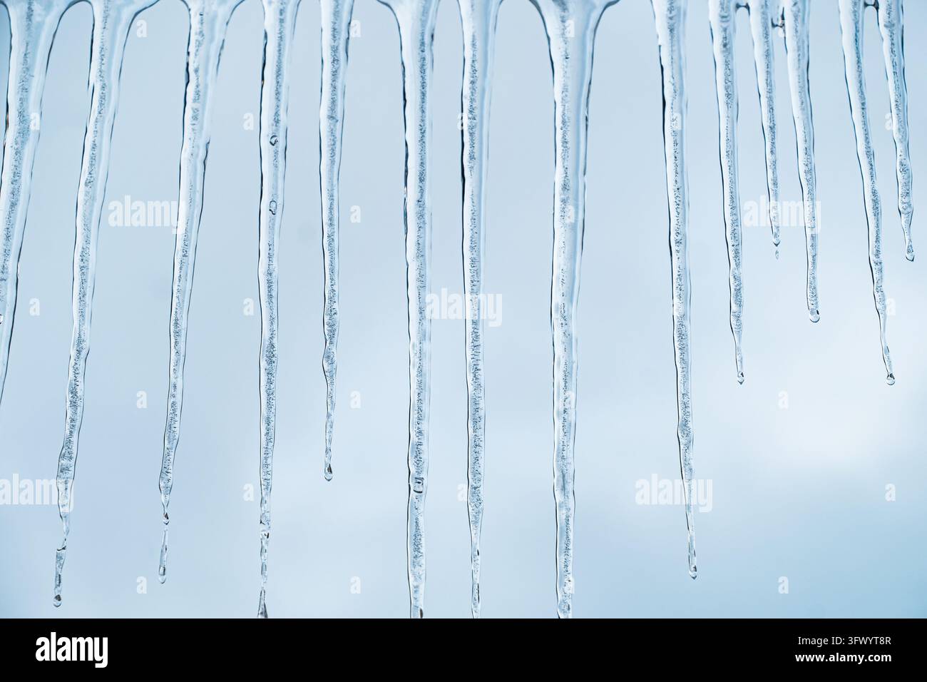 Les longs glaçons fondants suspendus à un toit pendant le dégel hivernal représentent un danger pour les piétons. Risque de chute de glace, températures en hausse, changement climatique et Banque D'Images
