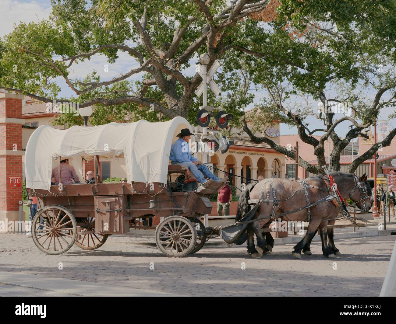 Une charrette tirée par des chevaux transportant des passagers traverse une rue aux Fort Worth Stockyards à Fort Worth, Texas Banque D'Images